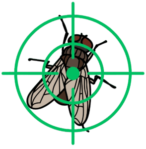 AS15 + ClariFly +Garlic Fly